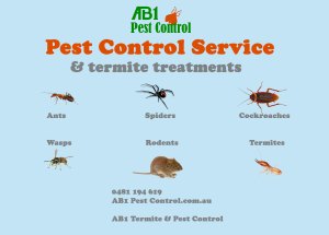 AB1 Termite & Pest Control | Termite Inspections